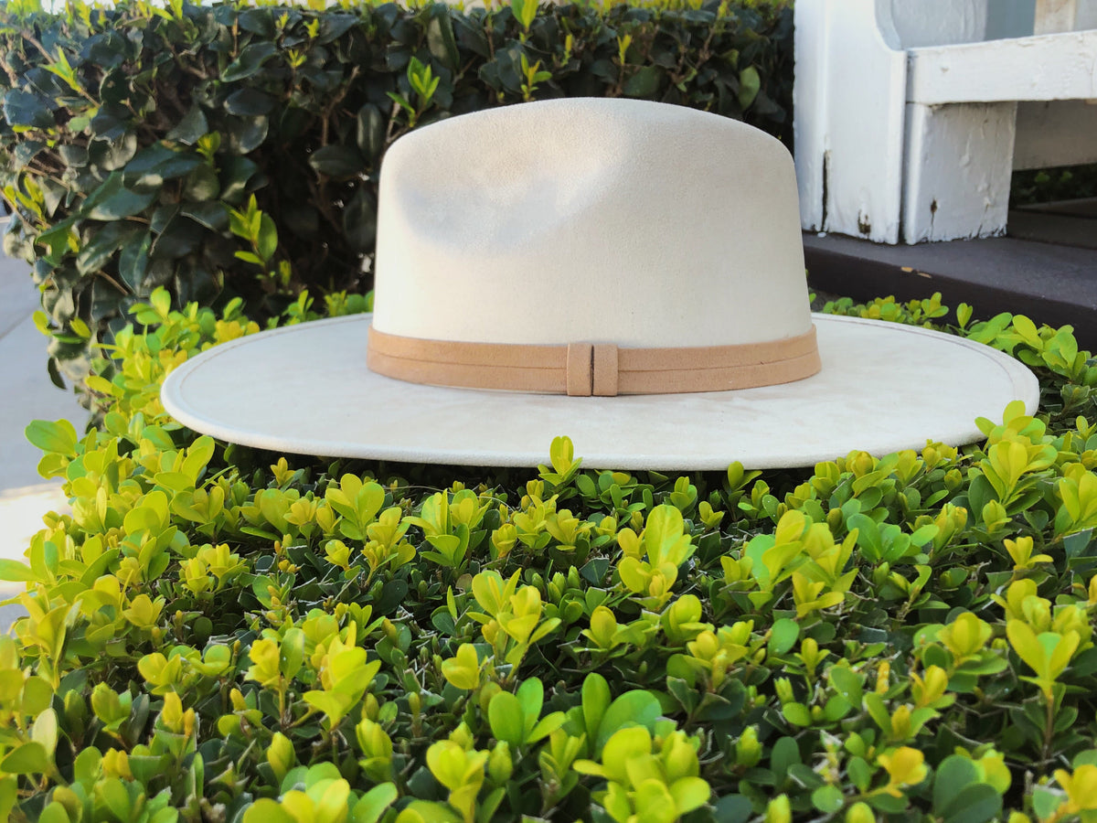 ASN Hats Blanco cream fedora among green garden plants