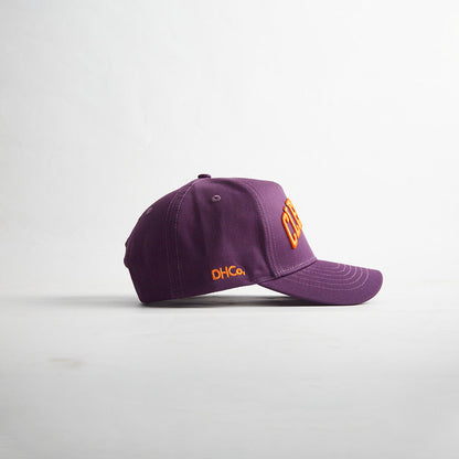 Opposite side of the Destination Hat Co. Clemson Legacy snapback showing the South Carolina silhouette